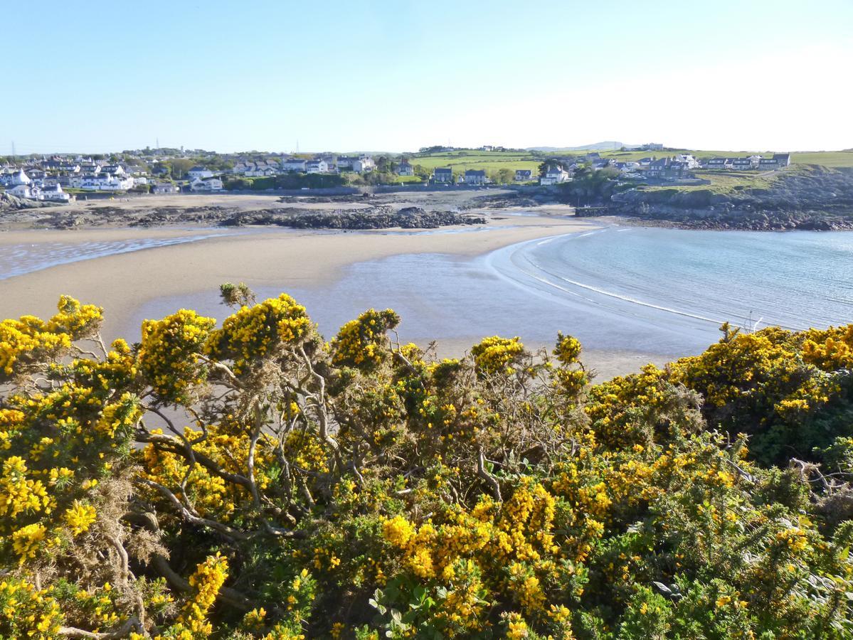 Angorfa Villa Cemaes Bay Eksteriør billede